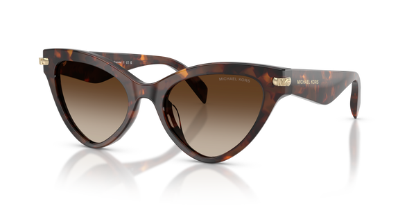 Gafas de Sol Michael Kors Roanoke MK2259U 403113 52 19