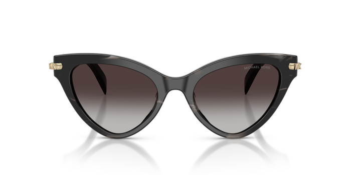Gafas de Sol Michael Kors Roanoke MK2259U 40348G 52 19 — vista 2