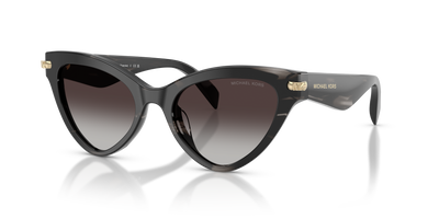 Sunglasses Michael Kors Roanoke MK2259U 40348G 52 19