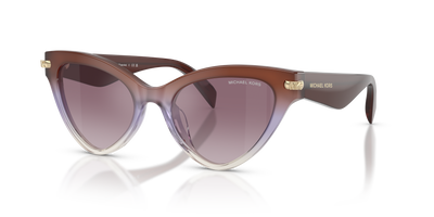 Sunglasses Michael Kors Roanoke MK2259U 40366X 52 19