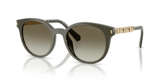 Michael Kors Pienza MK2264U 39023M 53 20 太阳镜
