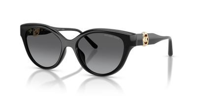 Gafas de Sol Michael Kors Nagoya MK2271U 3005T3 53 17