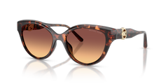 Michael Kors Nagoya MK2271U 403178 53 17 太阳镜