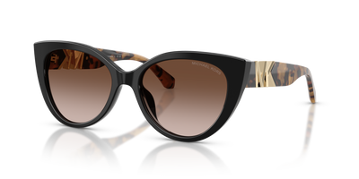 Солнцезащитные очки Michael Kors Catalina MK2291U 300513 54 17