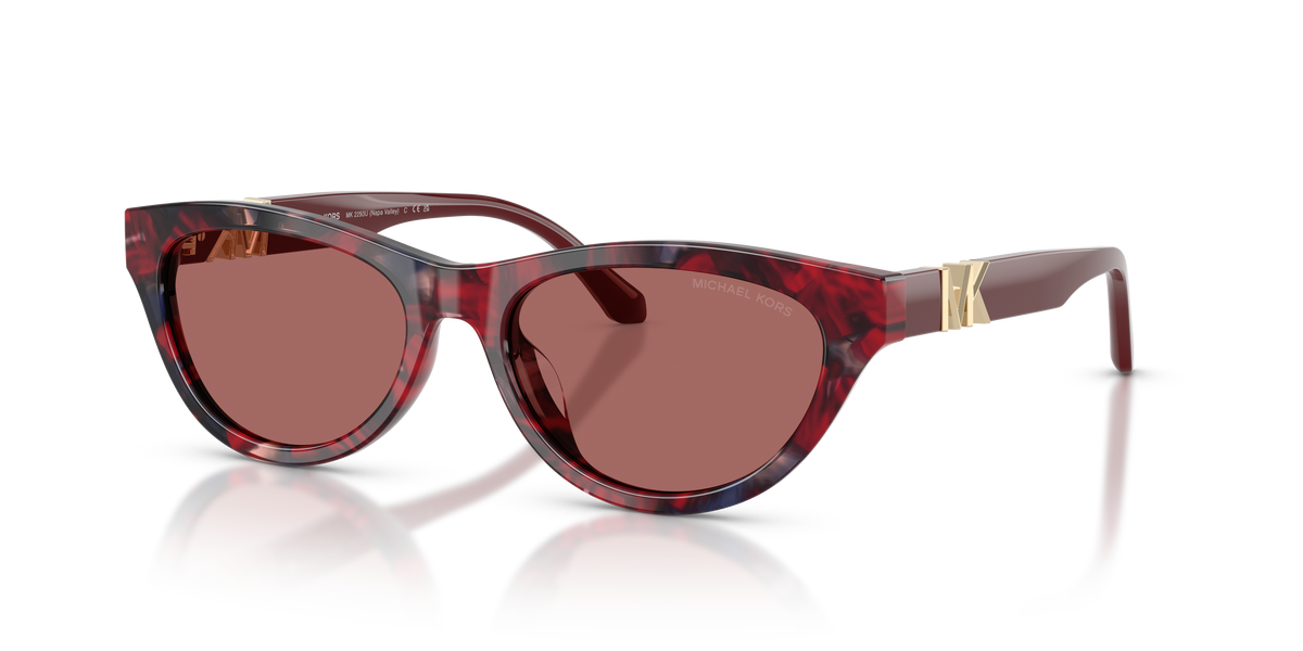 Gafas de Sol Michael Kors Napa Valley MK2293U 405669 54 17