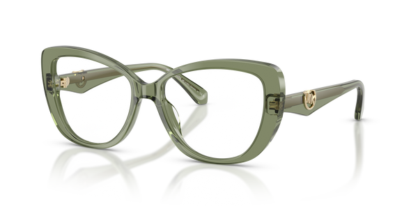 Gafas de Sol Michael Kors Dervio MK4163U 3961 54 16