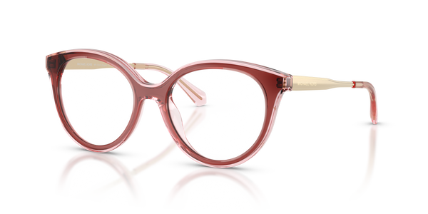 Gafas de Sol Michael Kors Sitges MK4184U 3913 51 17