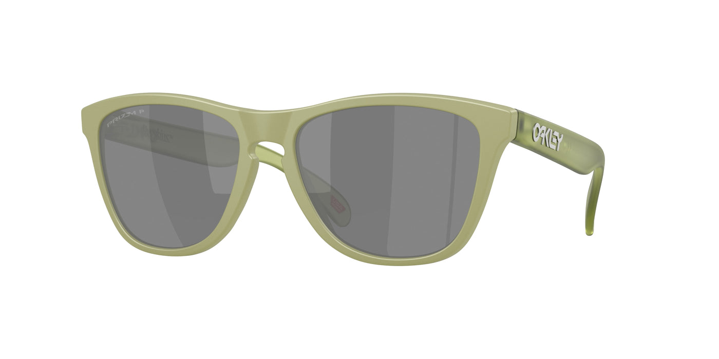 Солнцезащитные очки Oakley FROGSKINS OO9013 9013M2 55 17