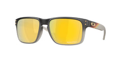 Sunglasses Oakley HOLBROOK OO9102 AH 55 18