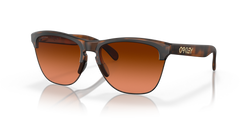Sunglasses Oakley FROGSKINS LITE OO9374 50 63 10