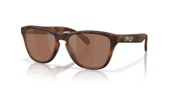 Gafas de Sol Oakley FROGSKINS S OO9508 03 53 16 — vista tres cuartos