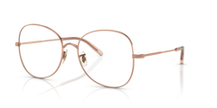 索尔·奥利弗人民手套 Eliane OV13 5246 56 17 Oliver Peoples OV1313
