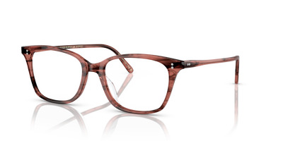 Очки для зрения Oliver Peoples ADDILYN OV5438U 1690