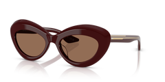 Lunettes de Soleil Oliver Peoples 1968C OV5523SU 178973 53 19
