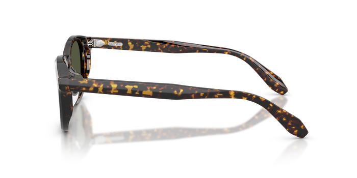 Sunglasses Oliver Peoples N.09 SUN OV5586SU 174152 — Image 3