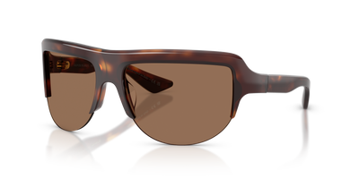 Gafas de Sol Oliver Peoples 1975C OV5636SU 100773 64 15