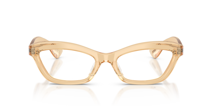 Gafas de Sol Oliver Peoples 1997C OV5637SU 1766SB 55 19 — Imagen 5