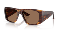 Gafas de Sol Oliver Peoples 1965C OV5638SU 100773 58 17