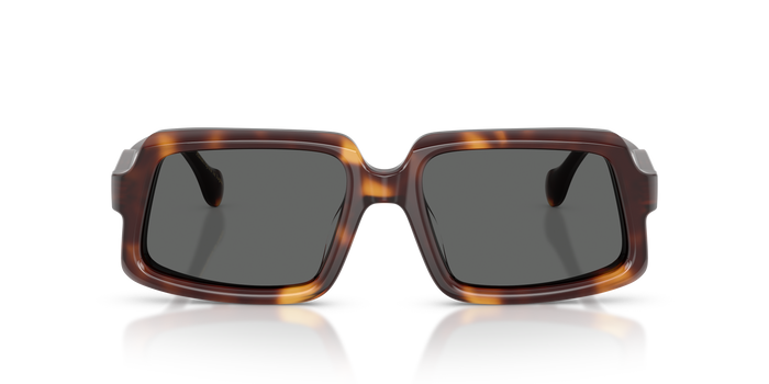 Gafas de Sol Oliver Peoples Edition 9 OV5643SU 1007B1 56 18 — vista 5