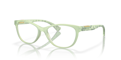 Prescription Glasses Oakley PLUNGELINE OX8146 10 50 16
