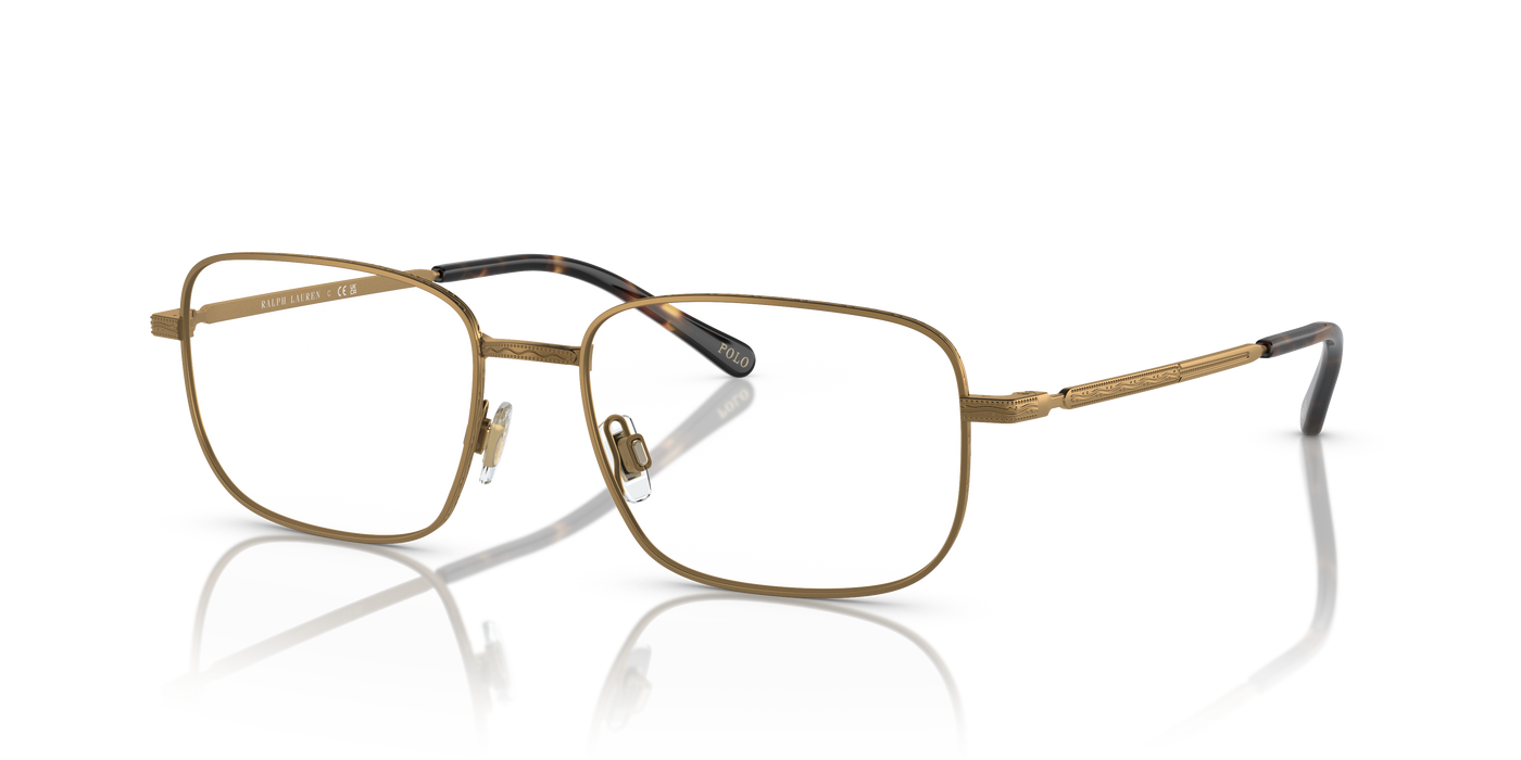 Sonnenbrille Polo Ralph Lauren PH1218 9324 54 17