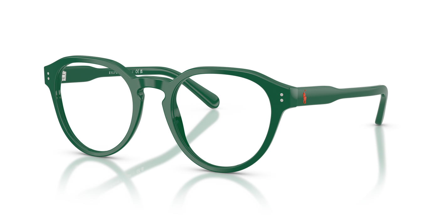 Sunglasses Polo Ralph Lauren PH2233 6141 48 20