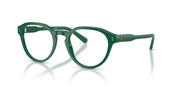 Gafas de Sol Polo Ralph Lauren PH2233 6141 48 20