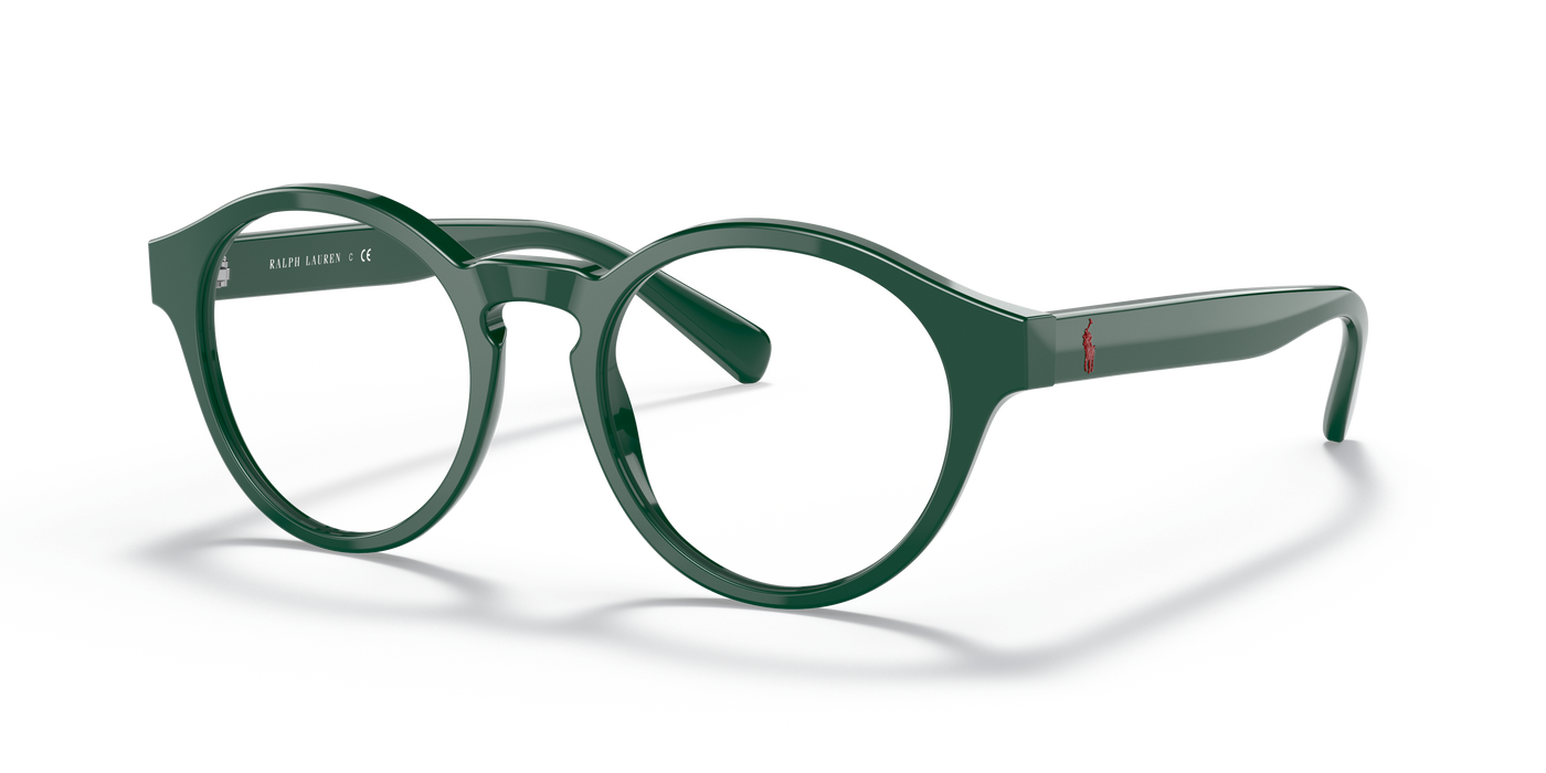 Lunettes de Soleil Polo Ralph Lauren PH2243 5421 48 19