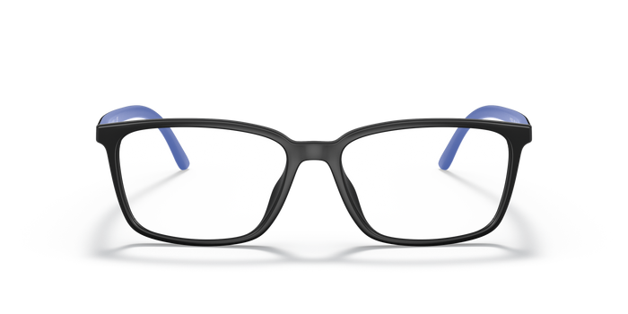 Солнцезащитные очки Polo Ralph Lauren PH2250U 5900 56 16 — vista 2