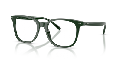 Korrektionsbrille Polo Ralph Lauren Ph2256 PH2256 6140 53 19