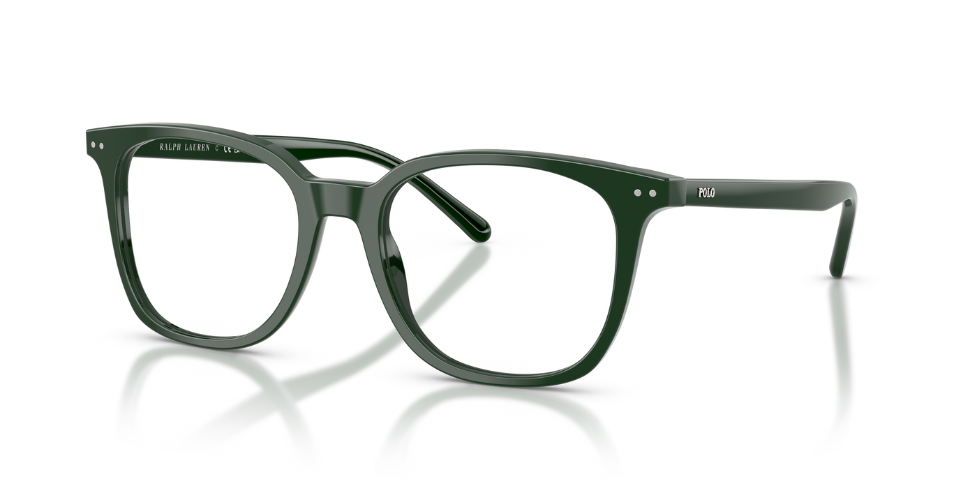 Korrektionsbrille Polo Ralph Lauren Ph2256 PH2256 6140 51 19