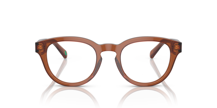 Sunglasses Polo Ralph Lauren PH2262 6086 48 21 — vista 2