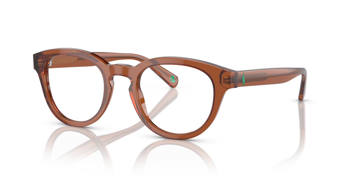 Sunglasses Polo Ralph Lauren PH2262 6086 48 21