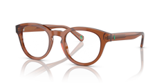 Sunglasses Polo Ralph Lauren PH2262 6086 48 21