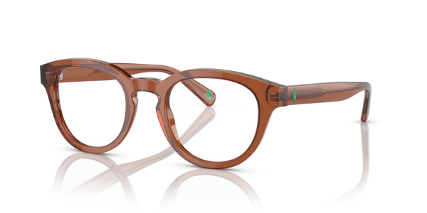 Gafas de Sol Polo Ralph Lauren PH2262 6086 48 21