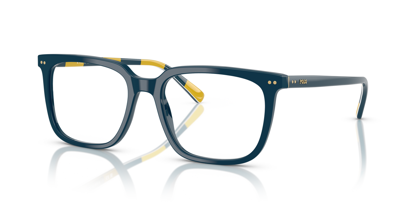 Sonnenbrille Polo Ralph Lauren PH2284 5465 55 18