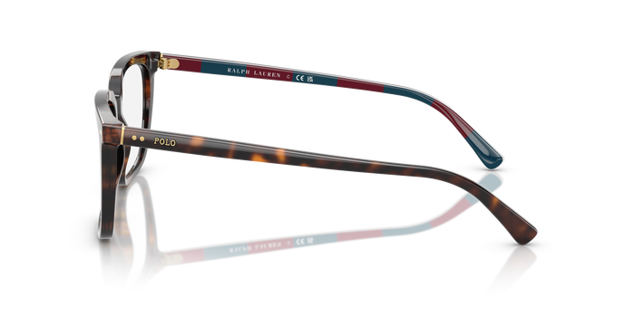 Sonnenbrille Polo Ralph Lauren PH2284 6213 55 18 — vista 3