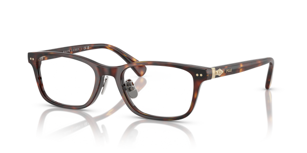 Gafas de Sol Polo Ralph Lauren PH2286D 6137 53 19