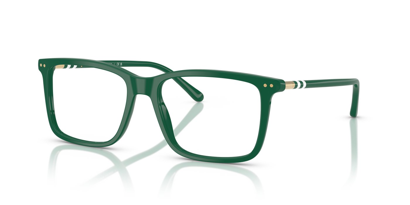 Lunettes de Soleil Polo Ralph Lauren PH2287 5421 53 17