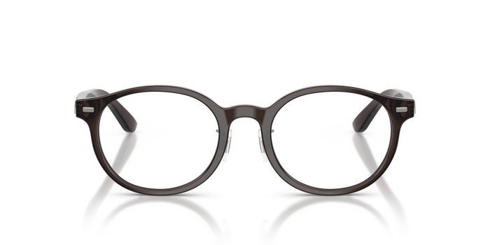 Sonnenbrille Polo Ralph Lauren PH2289D 6282 51 20 — vista 2