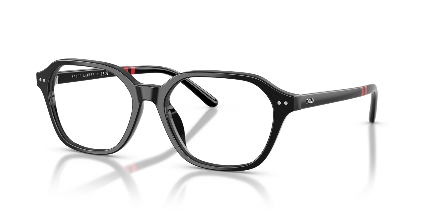 Sonnenbrille Polo Ralph Lauren PH2295U 5001 53 17