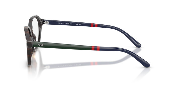 Sunglasses Polo Ralph Lauren PH2295U 5003 55 17 — vista 3