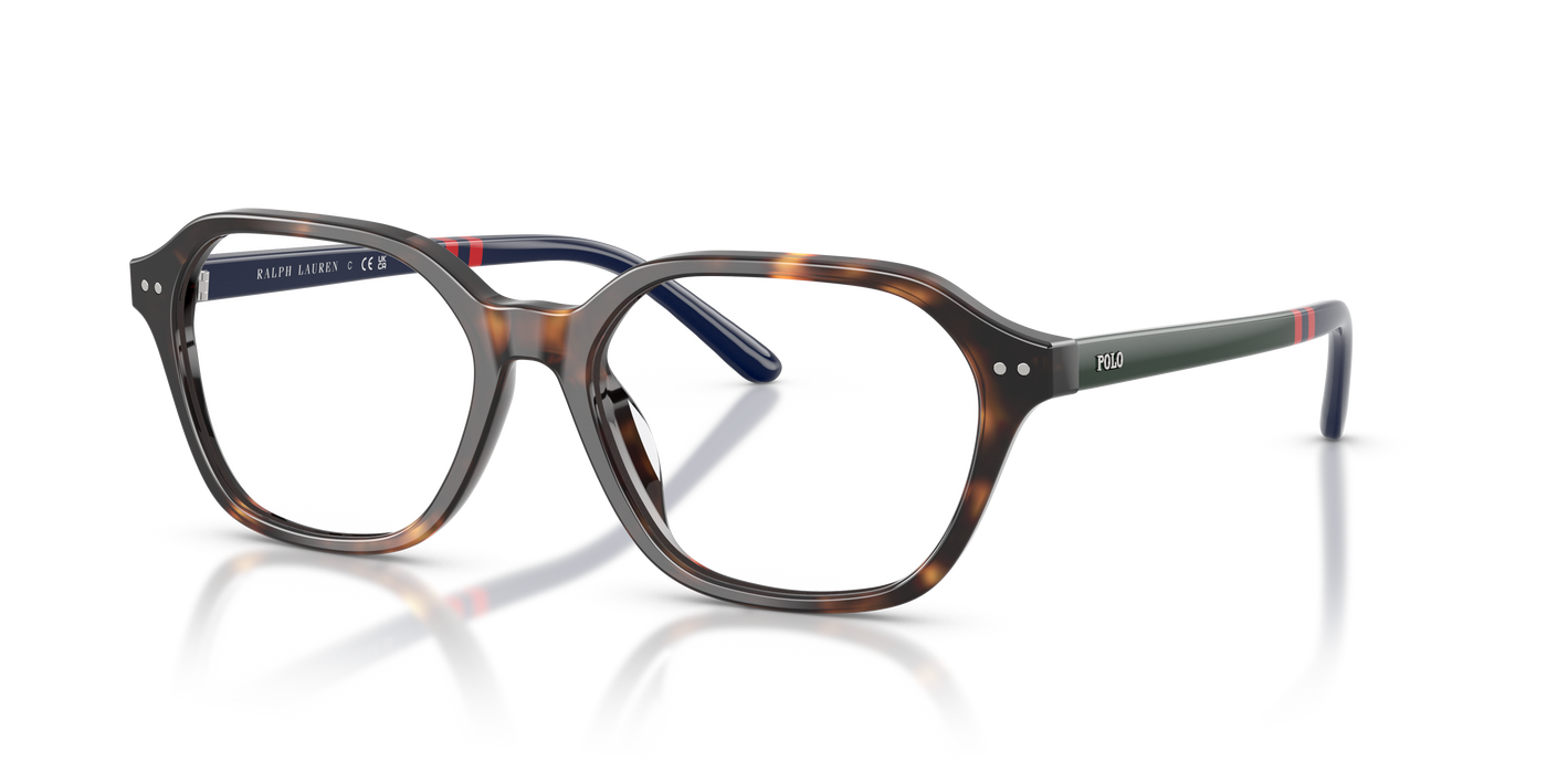 Sunglasses Polo Ralph Lauren PH2295U 5003 55 17