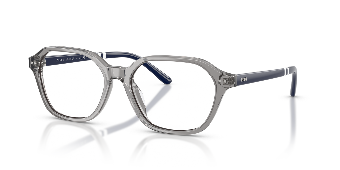 Sunglasses Polo Ralph Lauren PH2295U 6318 53 17