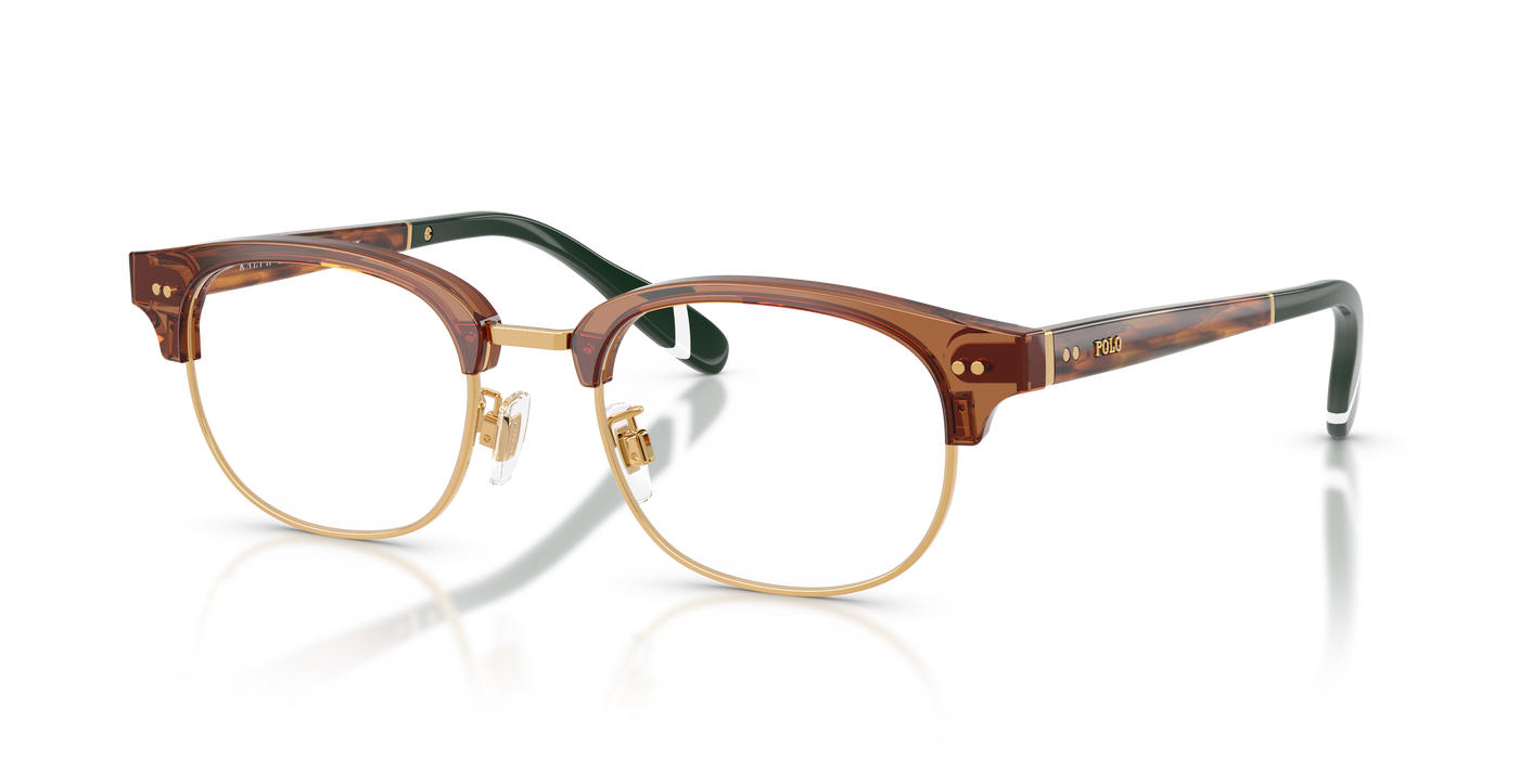 Sunglasses Polo Ralph Lauren PH2298D 6321 51 20