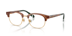 Sunglasses Polo Ralph Lauren PH2298D 6321 51 20