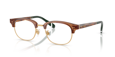 Sunglasses Polo Ralph Lauren PH2298D 6321 51 20