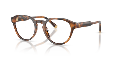 Sunglasses Polo Ralph Lauren PH2304U 6089 50 20