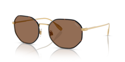 Sonnenbrille Polo Ralph Lauren PH3157 947773 56 20