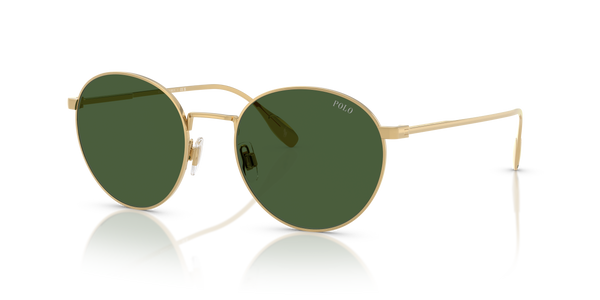 Gafas de Sol Polo Ralph Lauren PH3158 941171 53 20